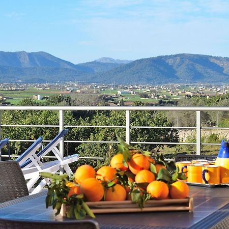 081 Finca Els Tarongers Etv5766 By Mallorca Charme Thị trấn Thị trấn Muro Ngoại thất bức ảnh